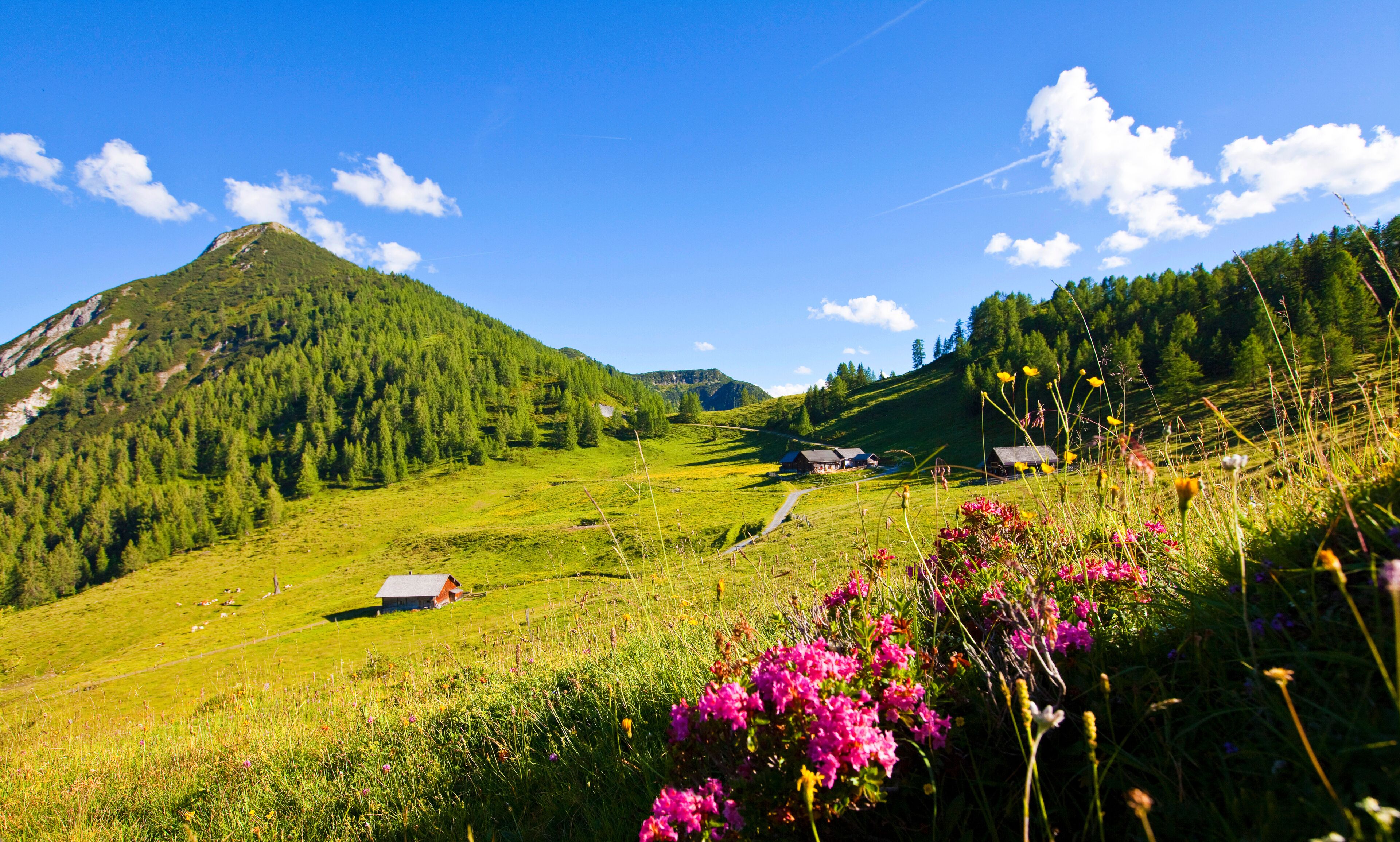 Altenmarkt im Pongau