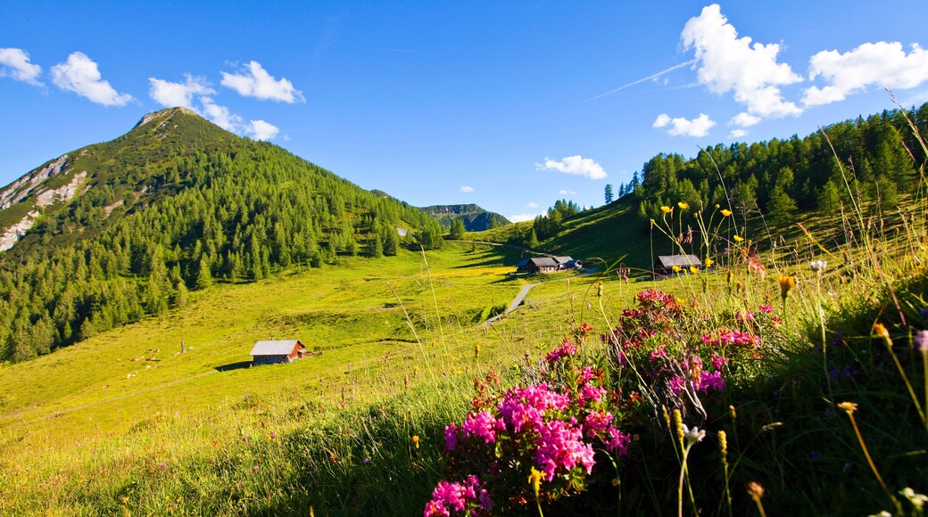 Altenmarkt im Pongau
