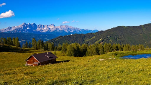 Die romantische Lackenalm