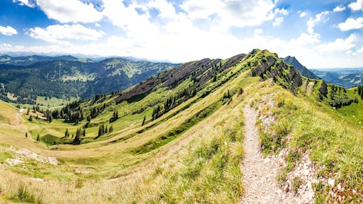 Hiking trail on the Nagelfluh in the Allgaeuer Alps