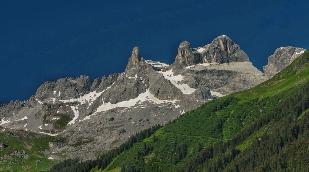July 2016
Drei Tuerme, Raetikon, Vorarlberg land, Austria
Raetikon is a small mountain range on the border of Austria and Switzerland and contains both the whitegrey peaks of limestone as well as the darkgreybrown ranges made of granite. This combined with vast green meadows filled with colourful flowers in the beggining of summer.
If you ascend the Raetikon from Gauertal valley (villages of Tschaggung or Latschau) you can enjoy spectacular views of the probably most beautiful part of Raetikon, which is the Drei Tuerme (ie. Three Towers) massif with the spikes of Kleiner Turm (2.756 m, on the left), Mittel Turm (2.815 m) and Grosser Turm (2.830 m). You can summit these from the bellow located Lindauer Huette cabin in few hours.