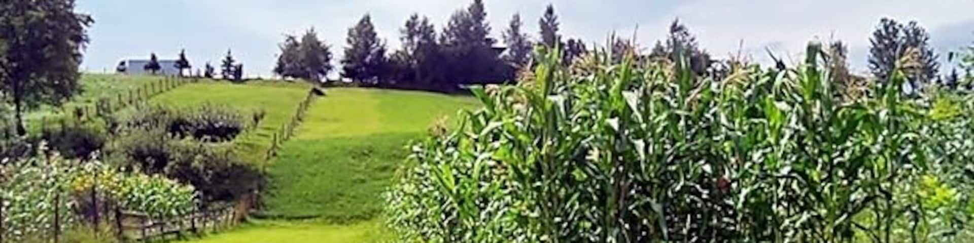 Razlog, Bulgaria
The village of Razlog is picturesque and characterized by the Balkan colors. It is crossed by a river which reflects a bright green color to the plants at its banks. Its central square is dominated by an old church. The village is ideal for walking strolls but also bicycling safe!