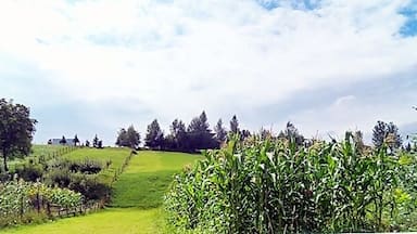 Razlog, Bulgaria
The village of Razlog is picturesque and characterized by the Balkan colors. It is crossed by a river which reflects a bright green color to the plants at its banks. Its central square is dominated by an old church. The village is ideal for walking strolls but also bicycling safe!