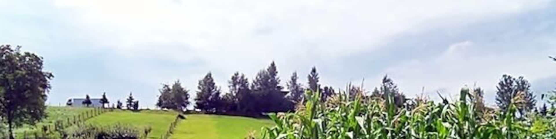 A rural landscape with rolling hills, a cornfield, and a distant house.