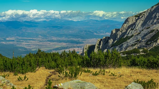 A mountainous landscape with a clear sky, a rocky cliff, and a trail leading through a forest.