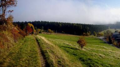 Herbstblick