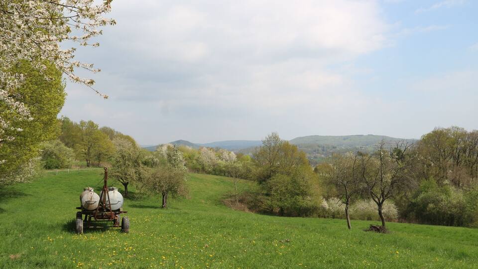 A rural landscape with a cart carrying two large containers, surrounded by green fields and trees.