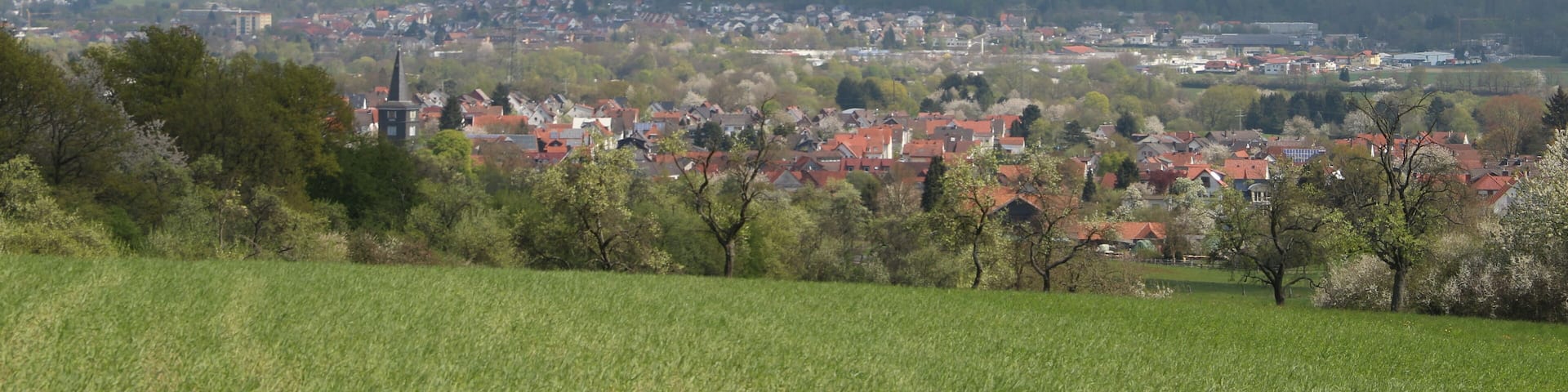 Wißmar in Obstwiesen und Lollarkopf mit Lollar jenseits der Lahnaue