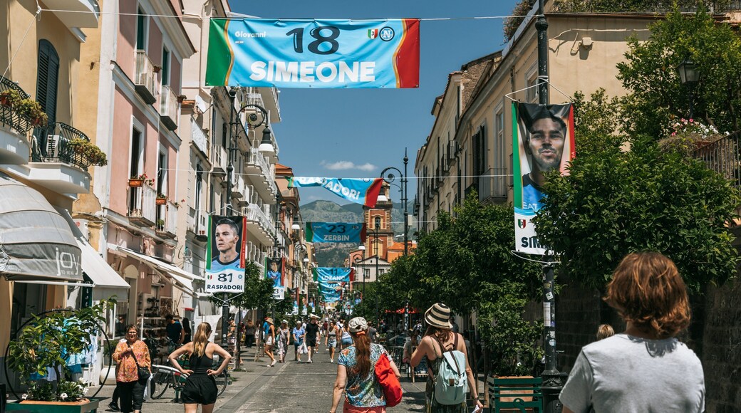Sorrento Coast showing signage and street scenes