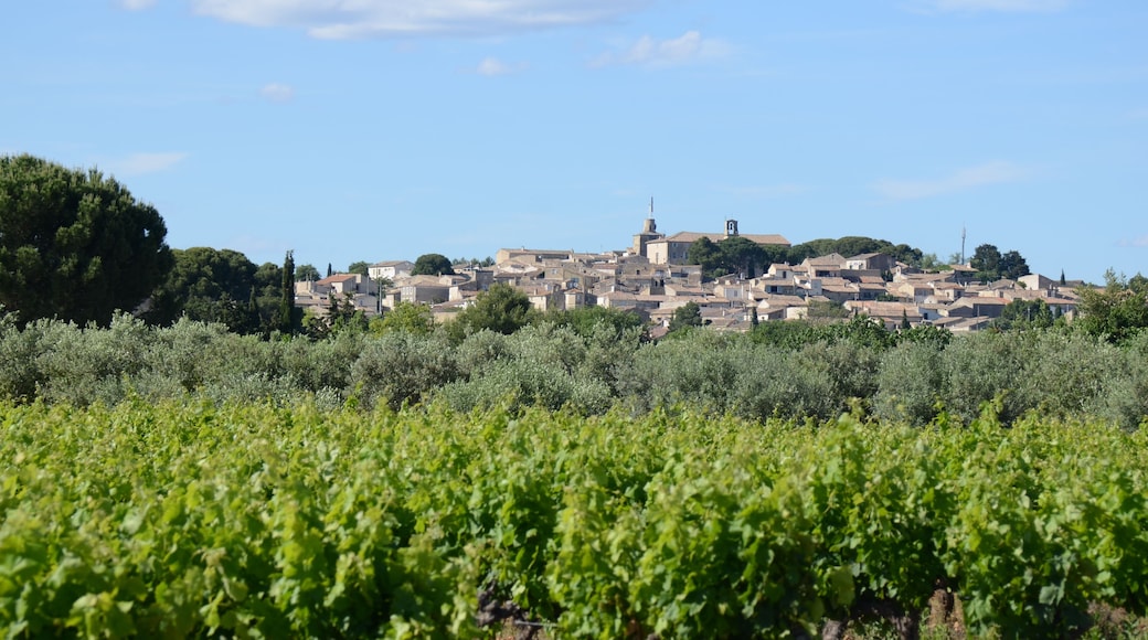 Panorama view of Gallargues at the hill