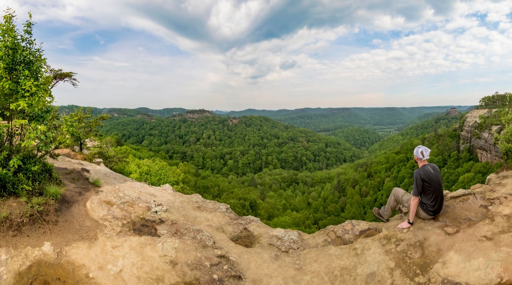 Prestonsburg