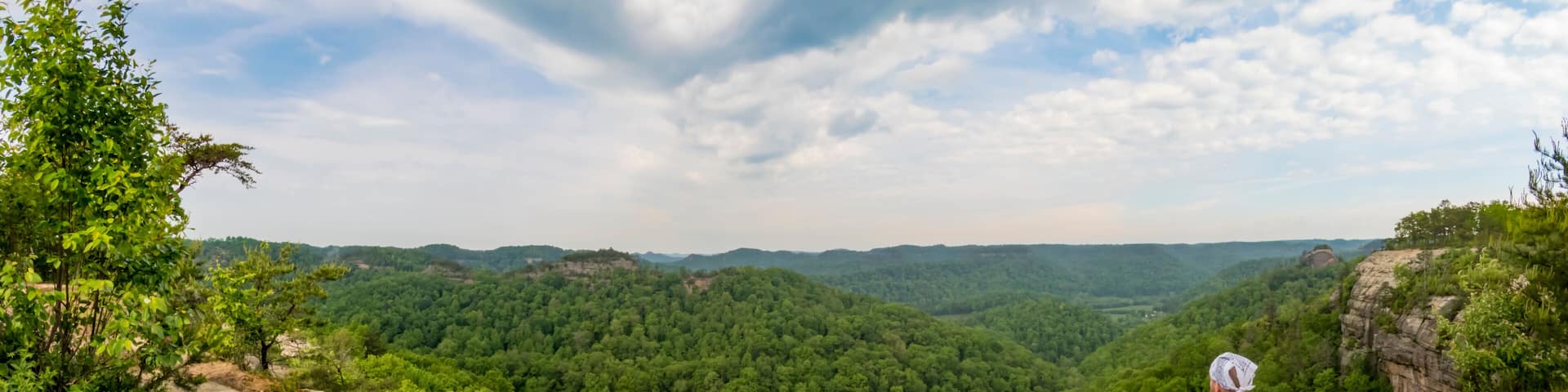 A person sitting on a rocky outcrop overlooking a dense forested valley.