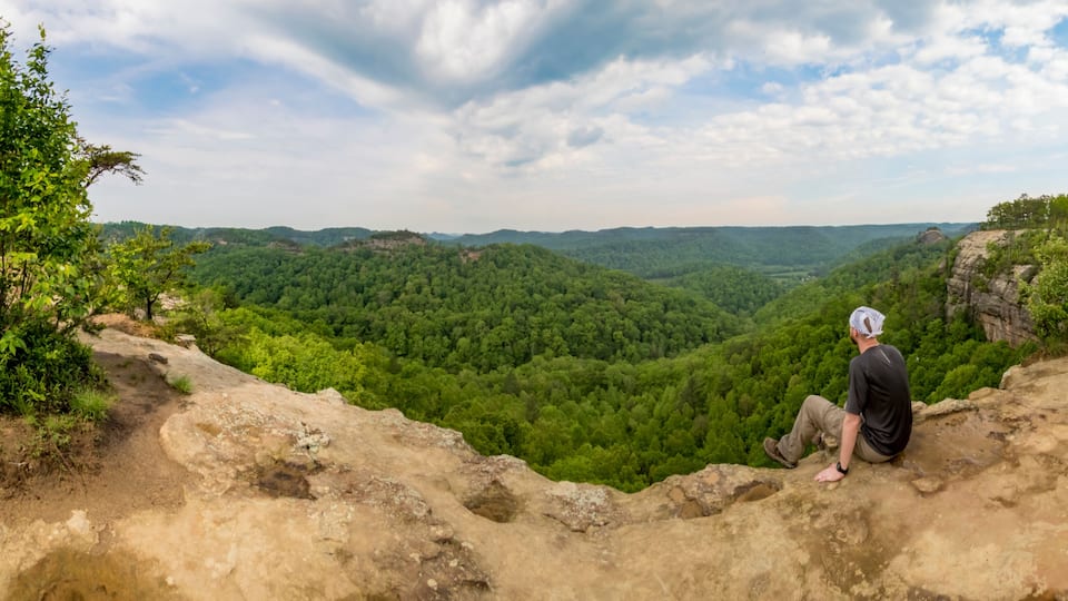 A person sitting on a rocky outcrop overlooking a dense forested valley.