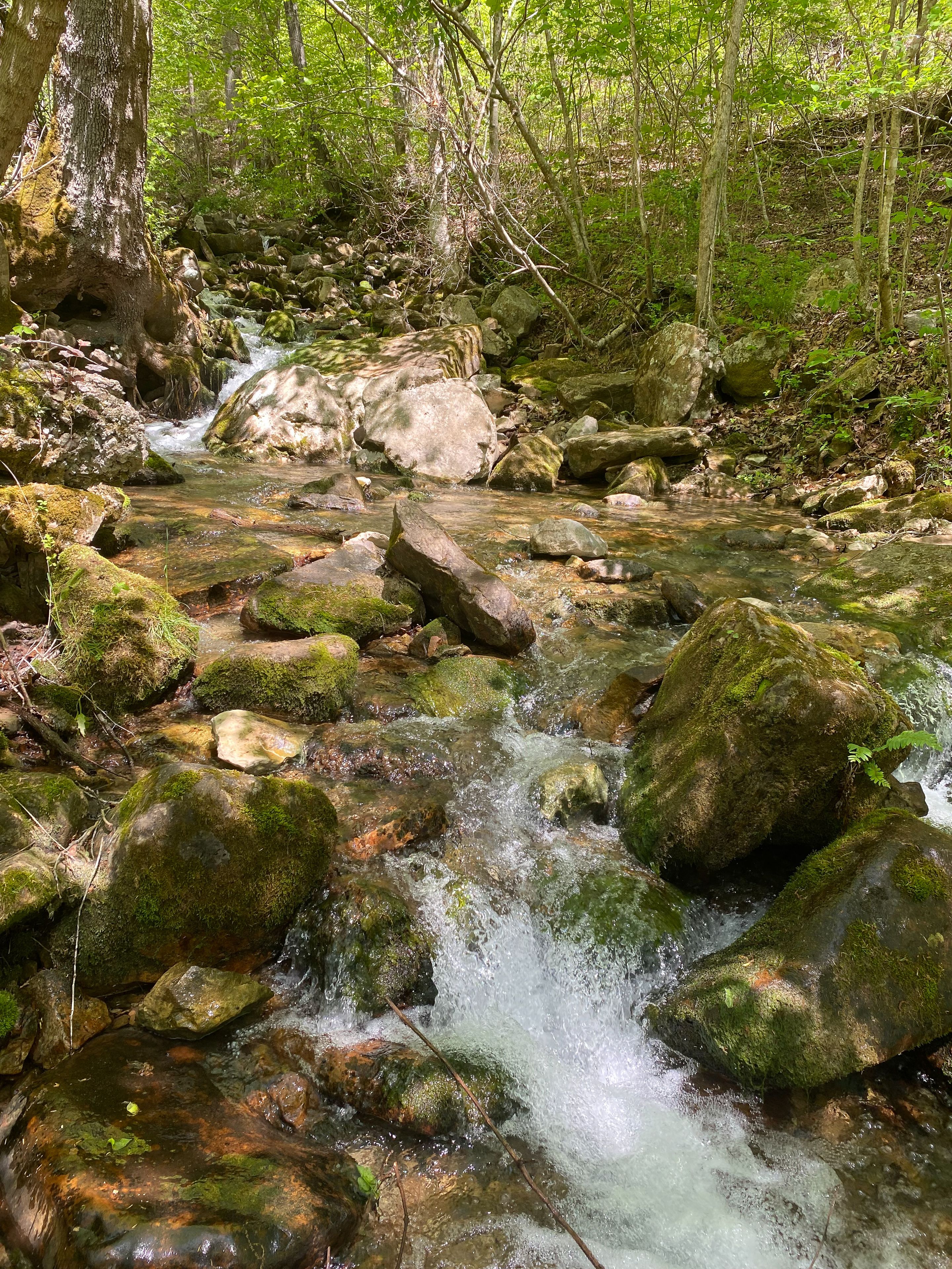 Gap Creek rushing over rocks at Cumberland Gap National Historical Park. 