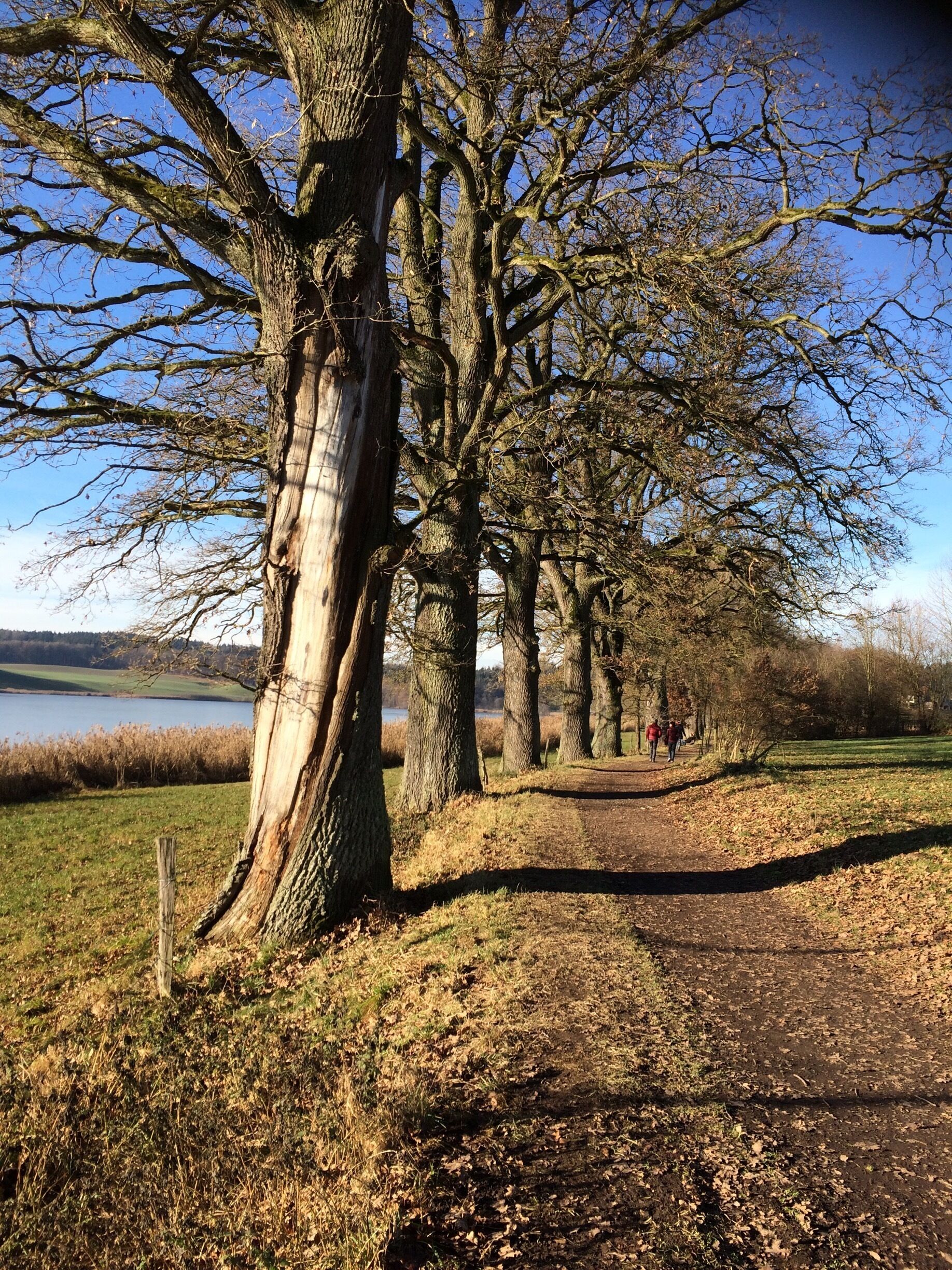 Nice place to walk and spend an hour sitting under the sun....