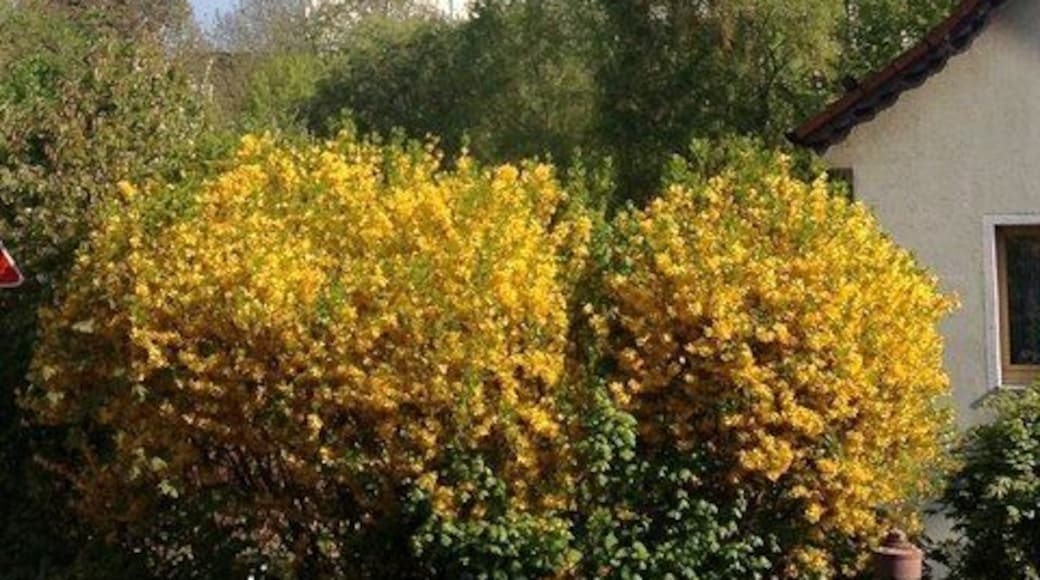 Ebersberg: Turm der Pfarrkirche St. Sebastian