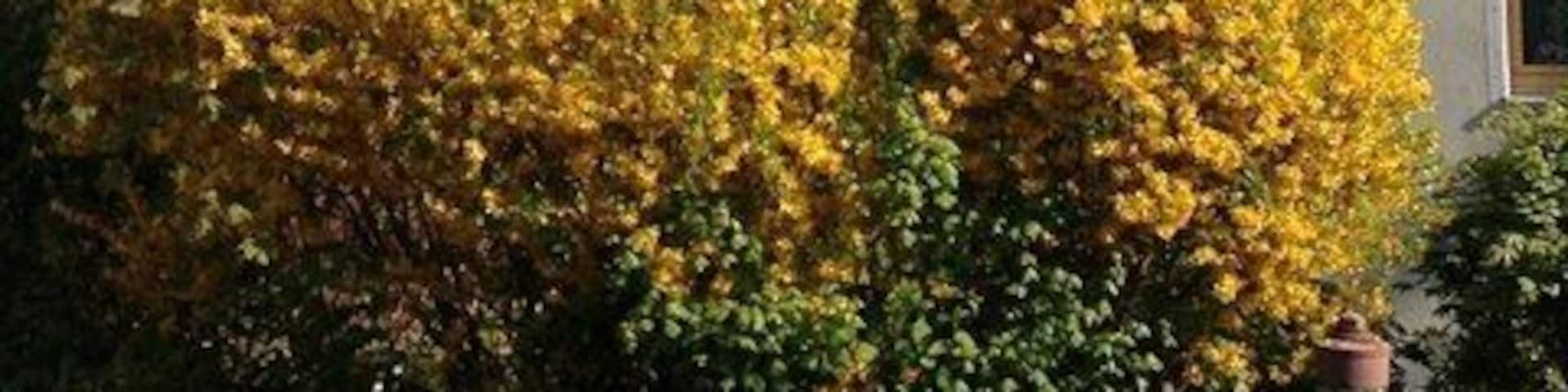 Ebersberg: Turm der Pfarrkirche St. Sebastian