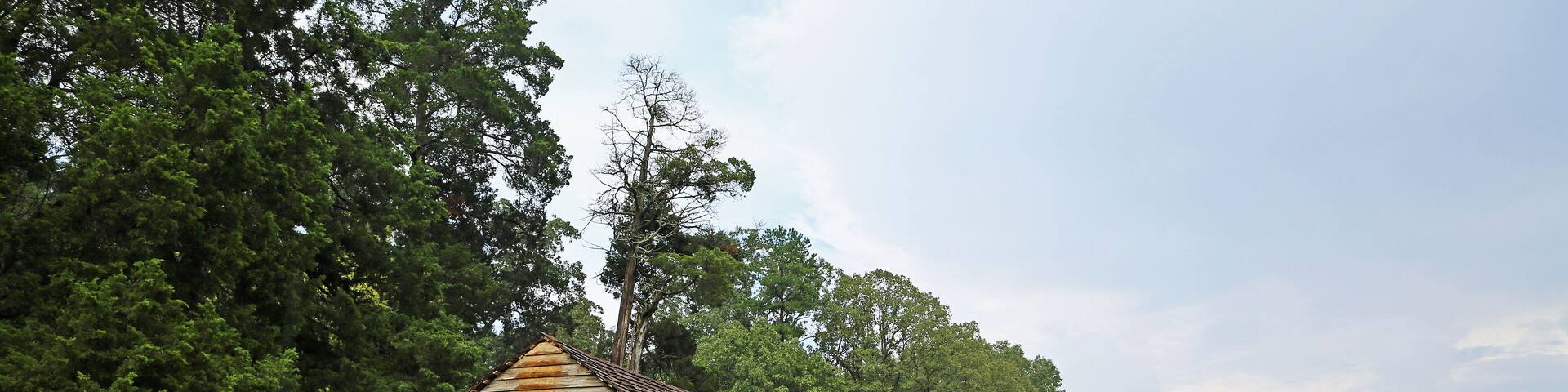 Old barn in green, Tennessee