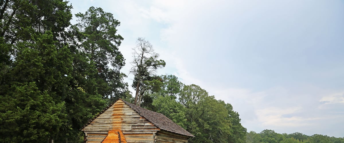 A small wooden cabin with a triangular roof surrounded by lush green trees.