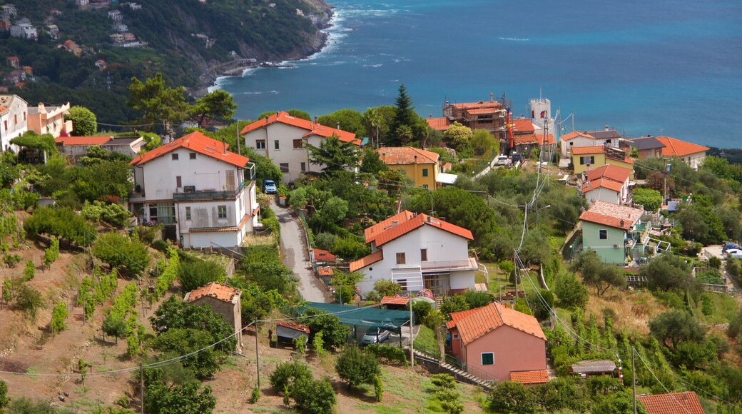 Moneglia som inkluderer hus og kystby