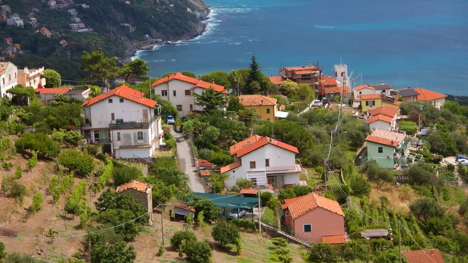 A coastal village with terracotta-roofed houses, lush greenery, and a view of the sea.