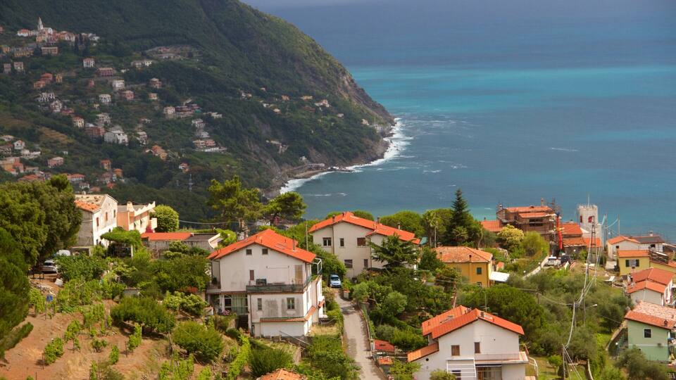 A coastal village with terraced houses and a steep hillside.
