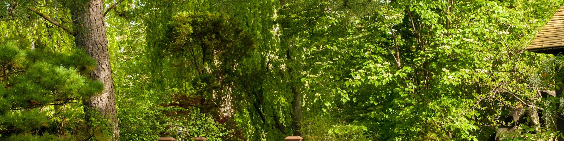A picturesque footbridge in a wooded garden with tulips; Shutterstock ID 138125186