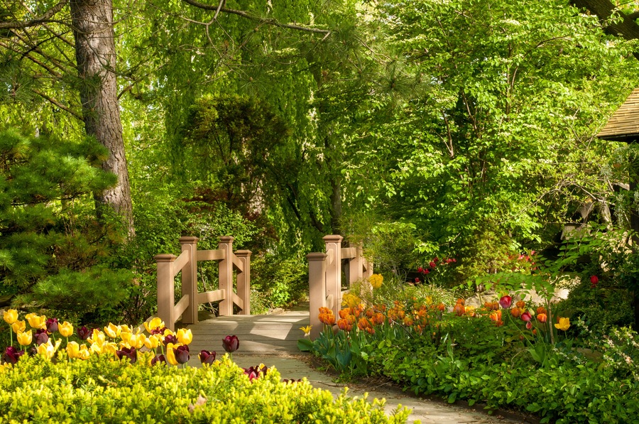A picturesque footbridge in a wooded garden with tulips; Shutterstock ID 138125186