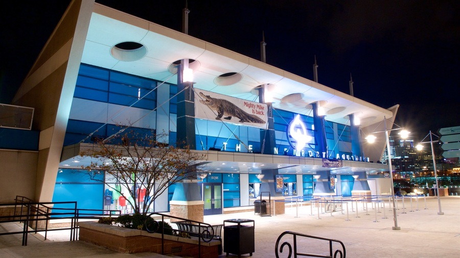 Northern Kentucky featuring night scenes
