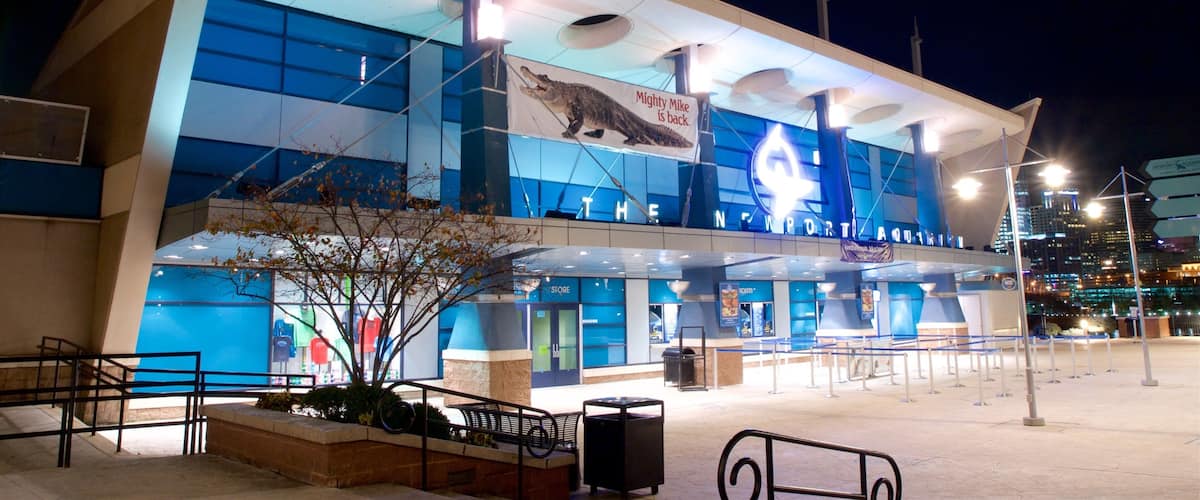 Northern Kentucky featuring night scenes