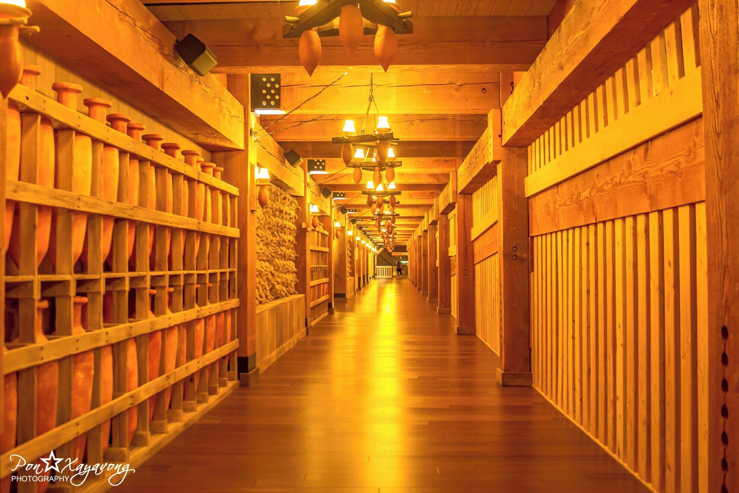 Inside the Ark walkway