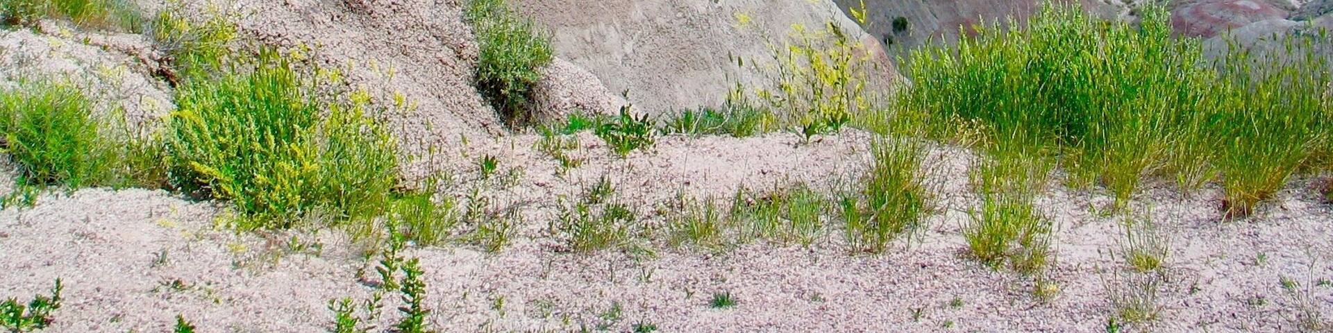 Badlands National Park