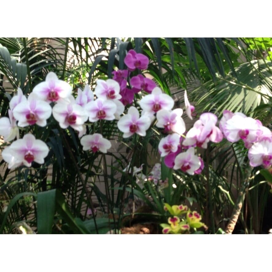 Cool place ! Worth every penny