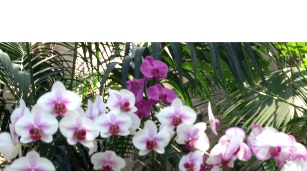 Cool place ! Worth every penny