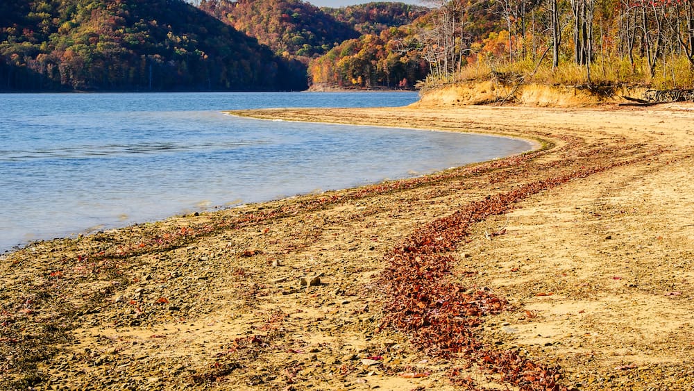 A riverbank with autumn foliage, a sandy beach, and a forested hill in the background.