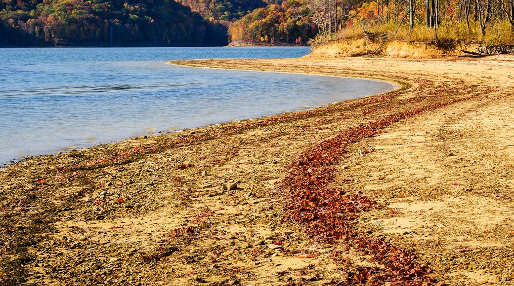 Cave run lake in autumn; Morehead, kentucky, united states of america