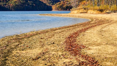 A riverbank with autumn foliage, a sandy beach, and a forested hill in the background.