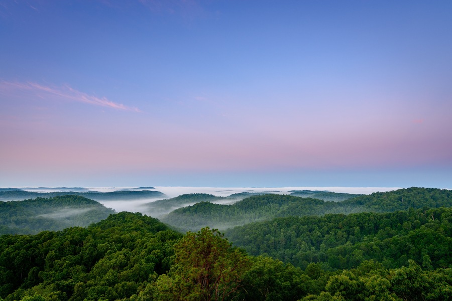 A forested landscape with rolling hills and mist-covered valleys.