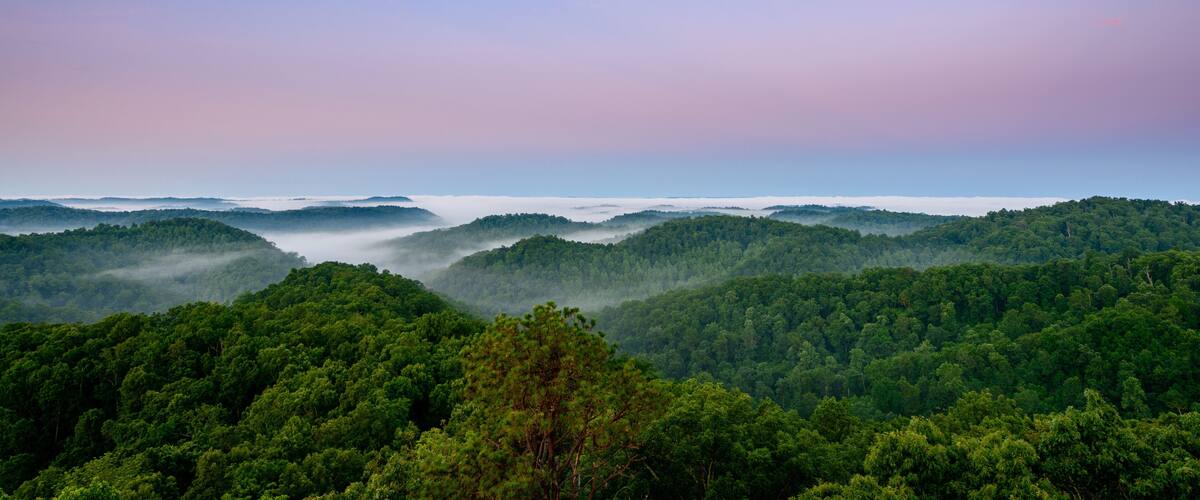 A forested landscape with rolling hills and mist-covered valleys.