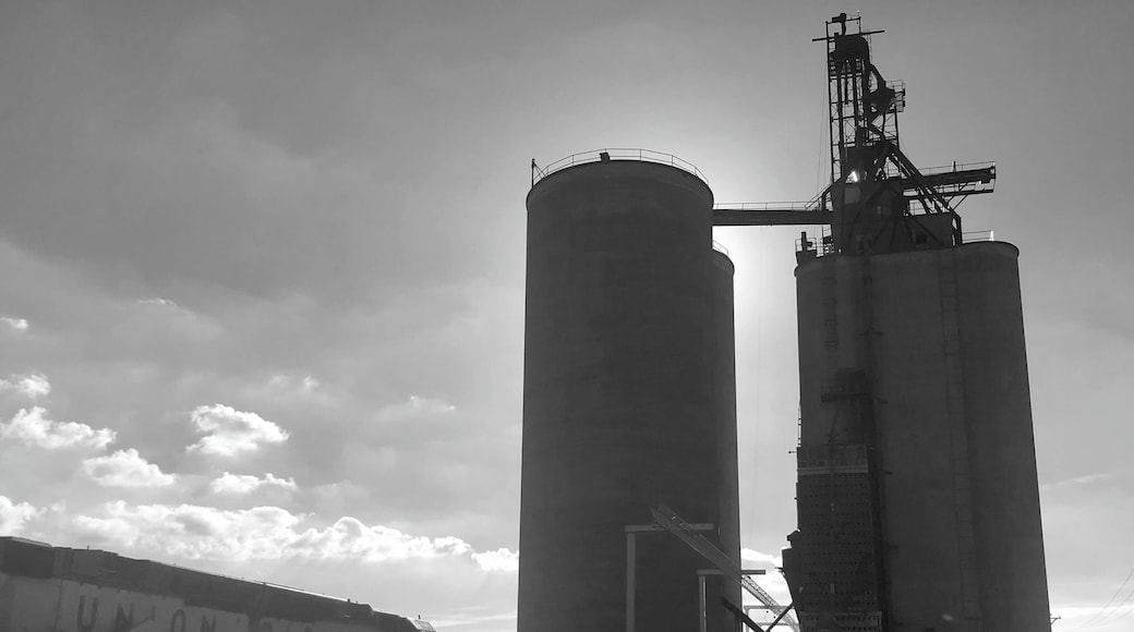 Rail cars and grain elevators, iconic heartland America.