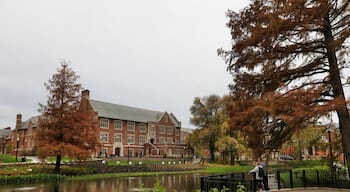 University District