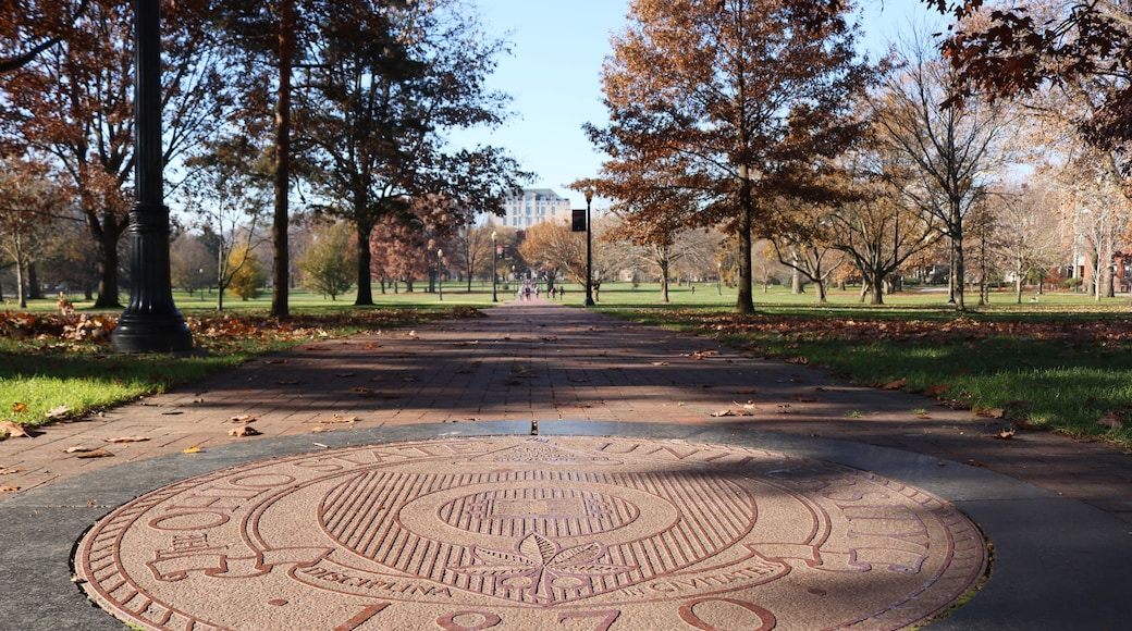 يونيفرسيتي ديستريكت