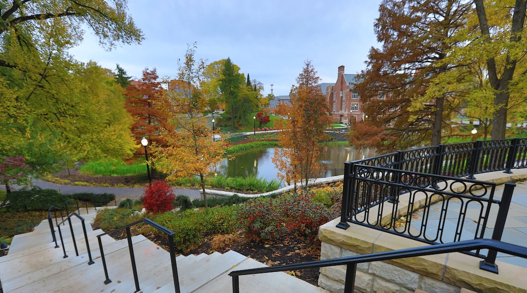 يونيفرسيتي ديستريكت