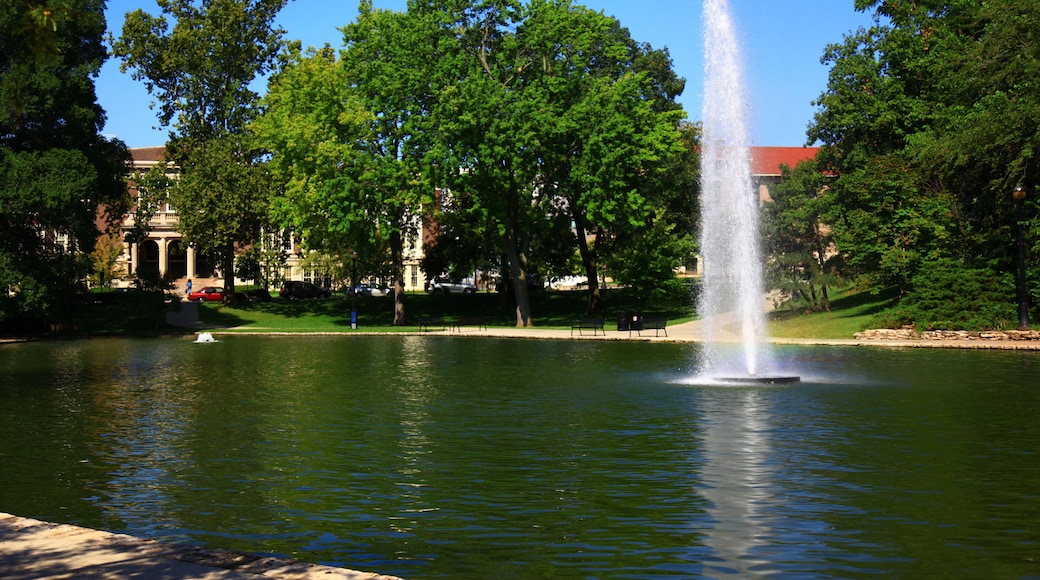 يونيفرسيتي ديستريكت