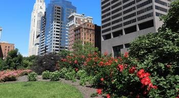 เวสต์โคลัมบัส