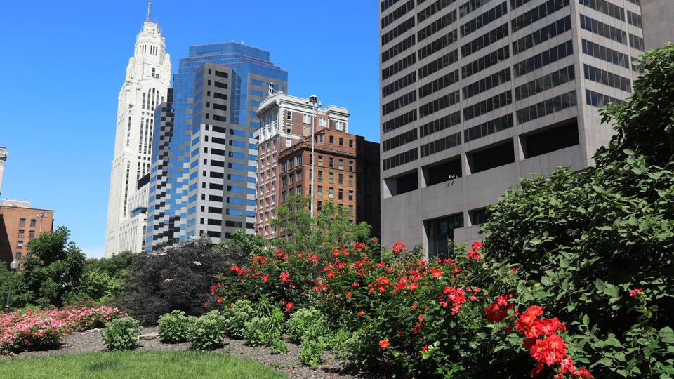 A cityscape with tall buildings, a park with red flowers, and a clear blue sky.