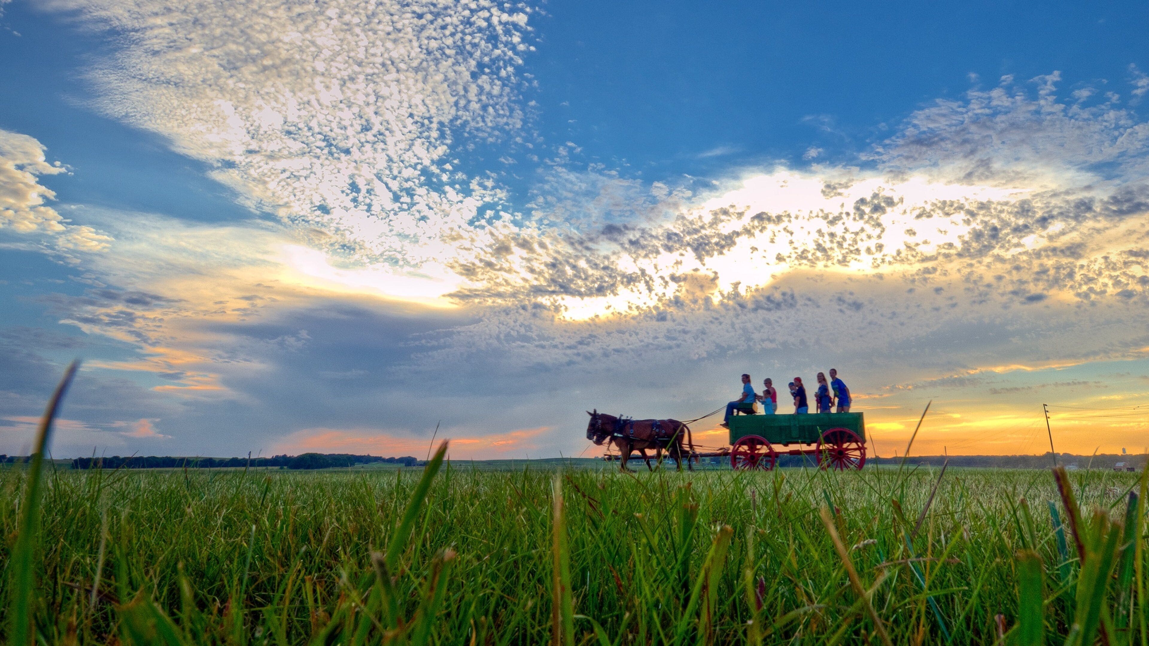 De Smet showing a sunset, land animals and farmland