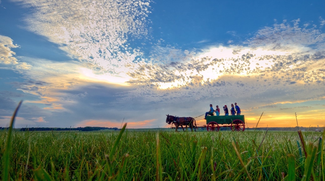 De Smet showing a sunset, land animals and farmland