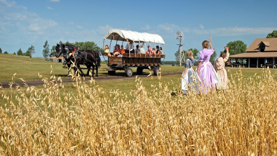 De Smet showing farmland, tranquil scenes and land animals
