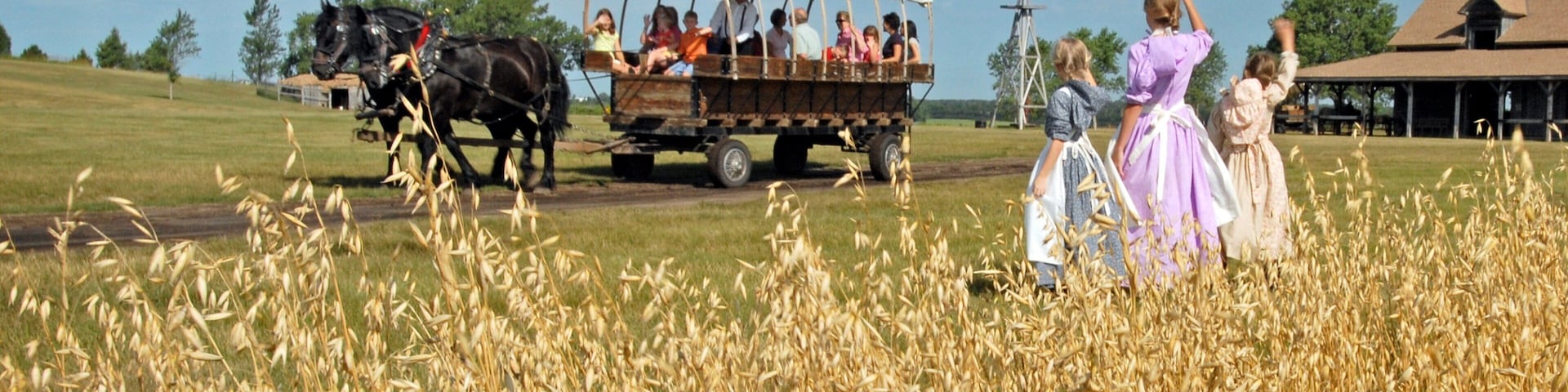 De Smet que inclui animais terrestres, cenas tranquilas e fazenda